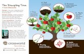 Life flourishes in the 3. Orchard The Discipling Tree