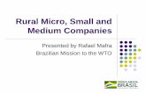 Rural Micro, Small and Medium Companies