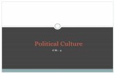 Political Culture, Public Opinion and Mass Media
