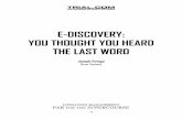 E-DISCOVERY: YOU THOUGHT YOU HEARD THE LAST WORD