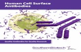 Human Cell Surface Antibodies - Valter Occhiena