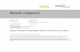 P.PSH.0707 Final Report
