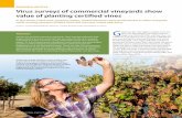 RESEARCH ARTICLE Virus surveys of commercial vineyards ...