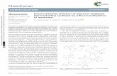 Electrochemical initiation of electron-catalyzed ...