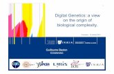 Digital Genetics: a view on the origin of biological ...