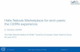 Helix Nebula Marketplace for end-users: the CERN experience
