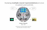Studying multiple neural representations at once in autism ...