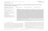 KIAA1199: A novel regulator of MEK/ERK‐induced Schwann ...