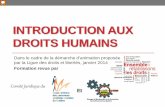 Introduction aux droits humains - GRFPQ | Groupe de ...