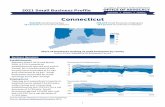 Connecticut Small Business Economic Profile