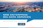 NRB ENTERPRISE BIG DATA SERVICES