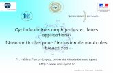 Cyclodextrines amphiphiles et leurs applications