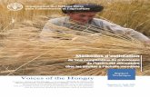 Rapport Voices of the Hungry - FAO