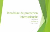 Procédure de protection internationale