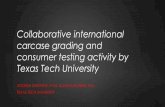 Collaborative international carcase grading and consumer ...