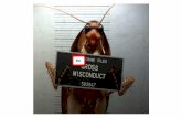 Cockroach - MEHA