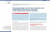 Ultrasonography for the most common pain syndromes of the ...