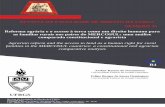 REVISTA DA FACULDADE DE DIREITO DA UFRGS NÚMERO 35 Reforma …