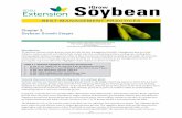 Chapter 3: Soybean Growth Stages - South Dakota State ...