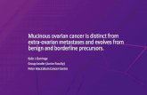 Mucinous ovarian cancer is distinct from extra-ovarian ...