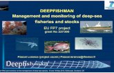 DEEPFISHMAN Management and monitoring of deep-sea ...