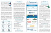 Flambeau’s Four-Facet Strategic Platform