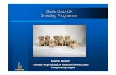 Guide Dogs UK Breeding Programme