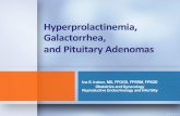 hyperprolactinemia - WordPress.com