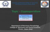 Topic Cryptosporidium - MJF Veterinary College
