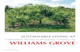 WILLIAMS GROVE - Fairchild Tropical Botanic Garden