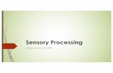 Sensory Processing TNOTA