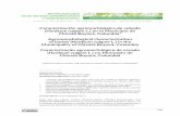 Caracterización agromorfológica de cebada Hordeum vulgare ...