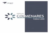 EDIFICIO COLMENARES PUEBLO LIBRE - grupovegal.com