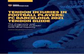 TENDON INJURIES IN FOOTBALL PLAYERS: FC BARCELONA …