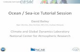 Ocean / Sea-ice Tutorial Session