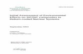 Initial assessment of environmental effects on SiC -FINAL 2
