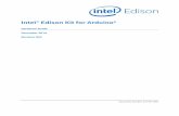 Intel® Edison Kit for Arduino*