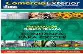 SANTA CRUZ - BOLIVIA - Instituto Boliviano de Comercio ...