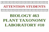 BIOLOGY 463 PLANT TAXONOMY LABORATORY #10