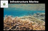 Infrastructura Marina