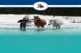 Charity Gymkhana for Texas Horses