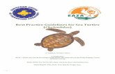 Best Practice Guidelines for Sea Turtles Cheloniidae
