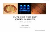OUTLOOK FOR CMP CONSUMABLES