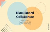 BlackBoard Collaborate - 147.96.70.122