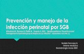 Prevención y manejo de la infección perinatal por SGB