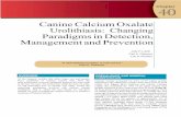 Chapter 40 - Canine Calcium Oxalate Urolithiasis jd