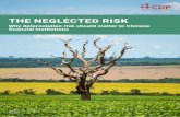 THE NEGLECTED RISK