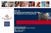 CMV 101 Congenital Cytomegalovirus Infection The Elephant ...