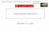 Fungal Pathogens Metarhizium - StopBMSB.org