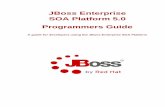 Programmers Guide - A guide for developers using the JBoss ...